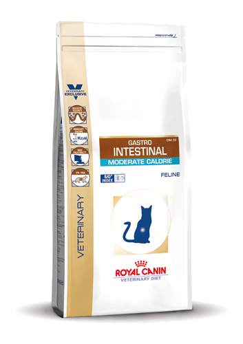 Royal canin intestinal kat cheap