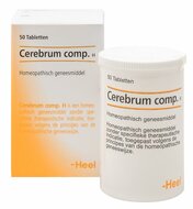 Cerebrum-Compositum