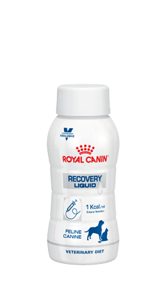 Benadrukken herstel beschermen Recovery Liquid Hond en Kat 3 flessen van 200 ml Royal Canin - PetQure
