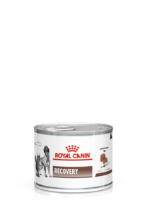 Royal Canin Recovery blikvoer kat en hond