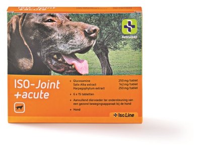 Iso-Joint + Acute 90 tabletten