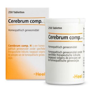 Cerebrum Compositum H 250 tabletten van Heel