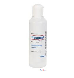 Traumeel S gel 250 gram van Heel